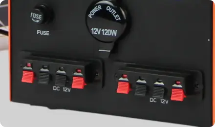 Multi-function DC output port