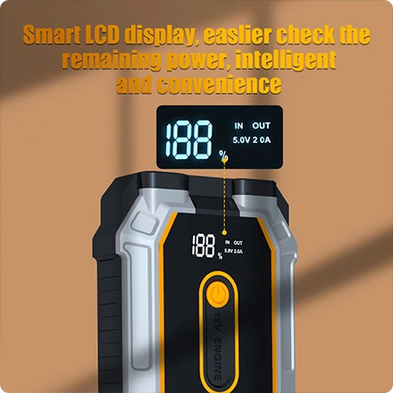 LCD Intelligent Display