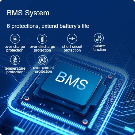 Smart BMS System