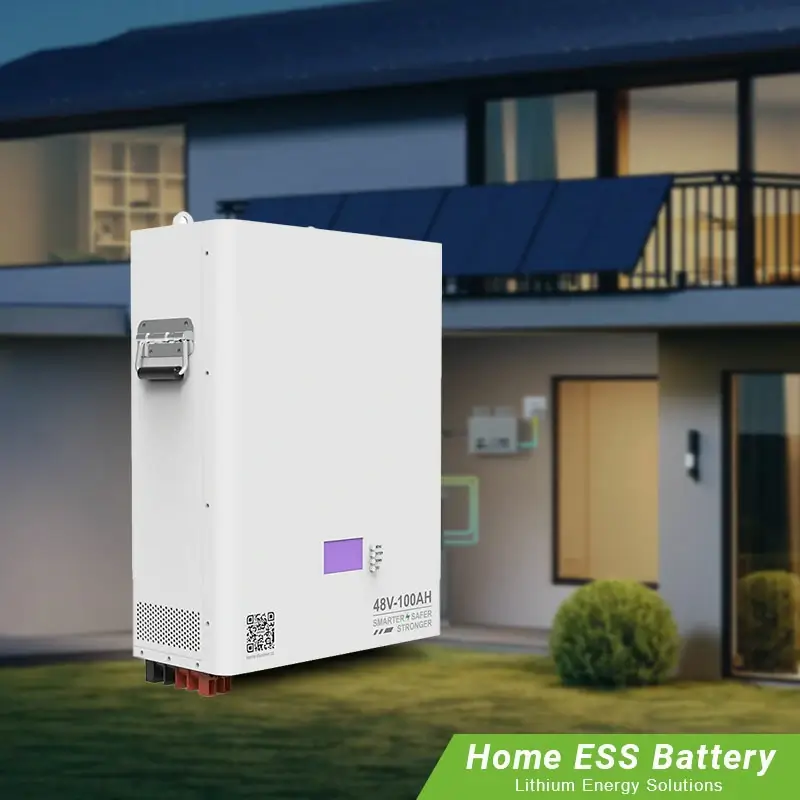 48V LifePO4 Powerwall Wall Mounted Battery