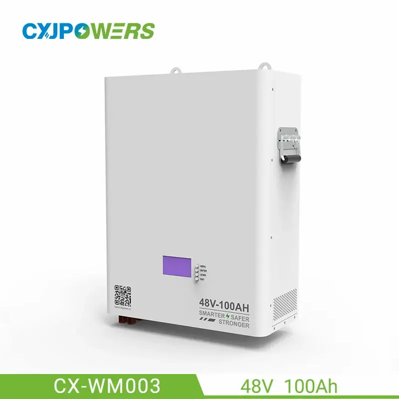 48V LifePO4 Powerwall Wall Mounted Battery