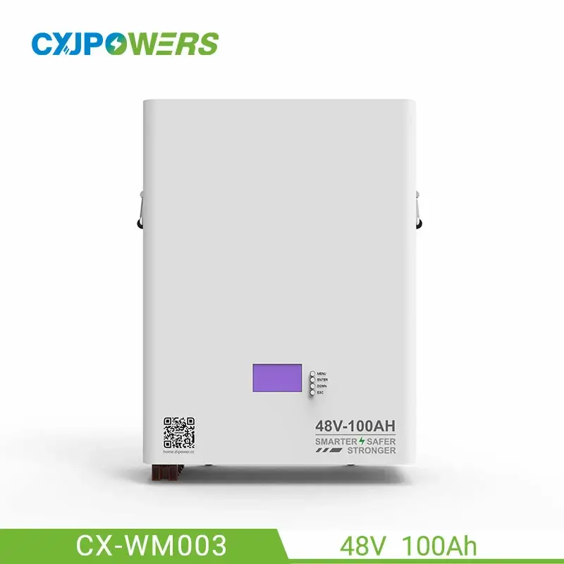 48V LifePO4 Powerwall Wall Mounted Battery