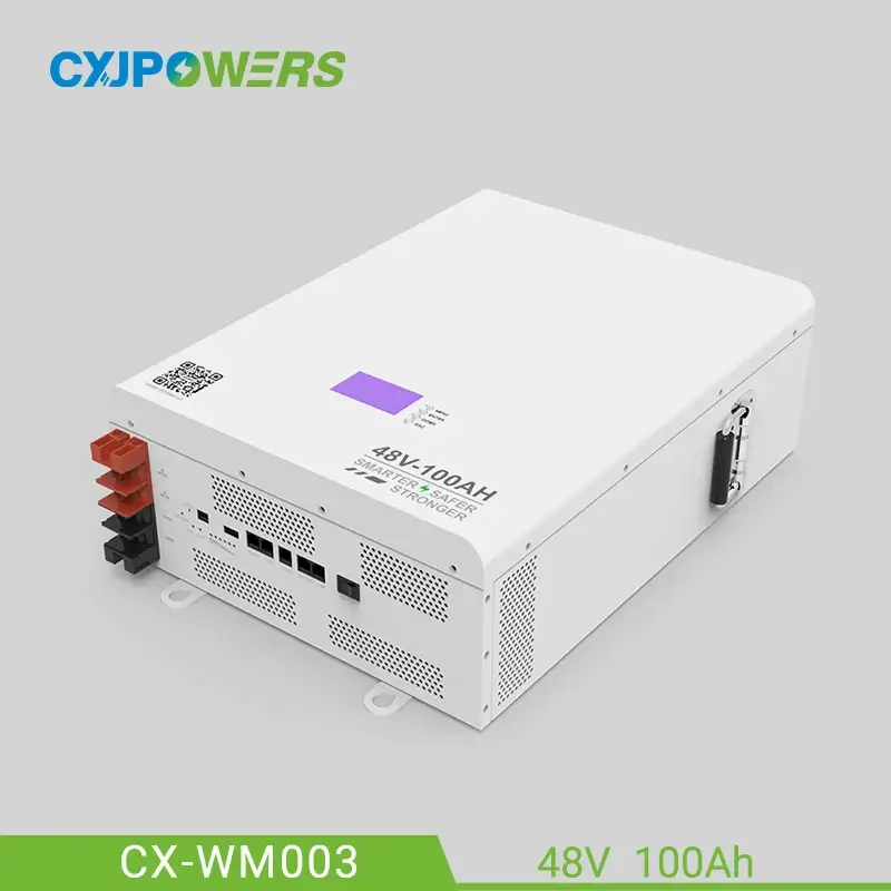 48V LifePO4 Powerwall Wall Mounted Battery