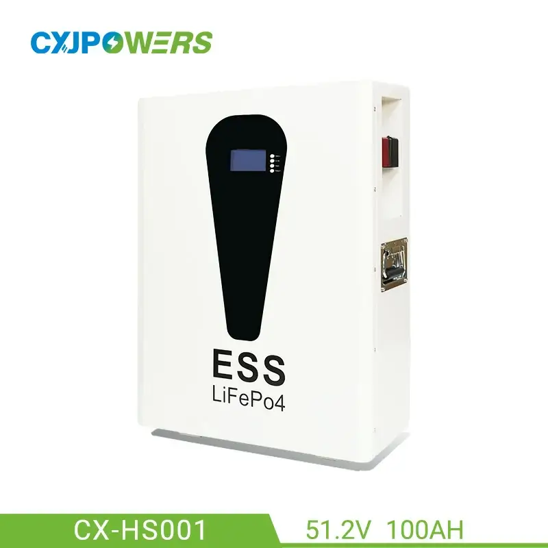 51.2V 100Ah 5kWh LiFePO4 ESS Battery Storage