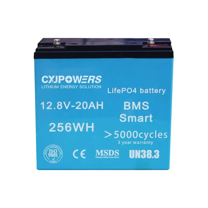 12V 20Ah LiFePo4 Battery 256Wh