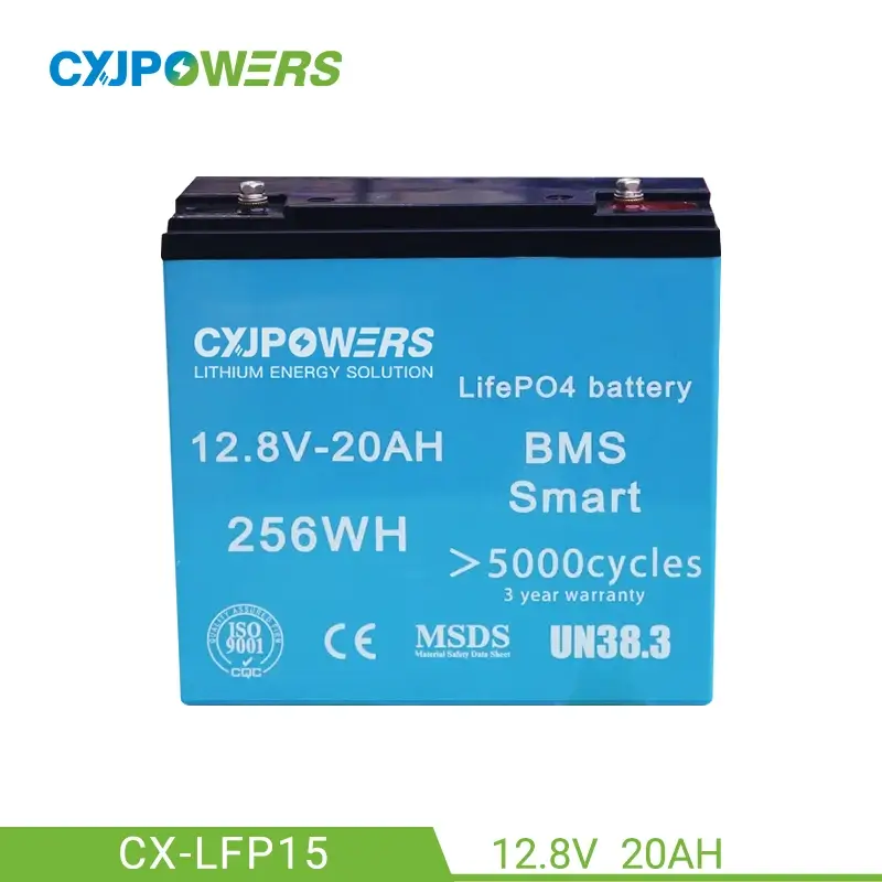 12V 20Ah LiFePo4 Battery 256Wh