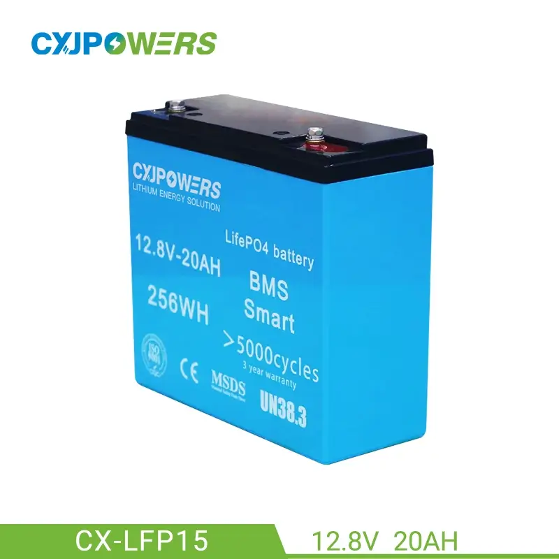 12V 20Ah LiFePo4 Battery 256Wh