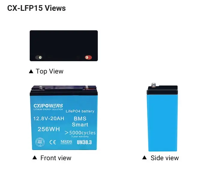 views of cx-lfp15 