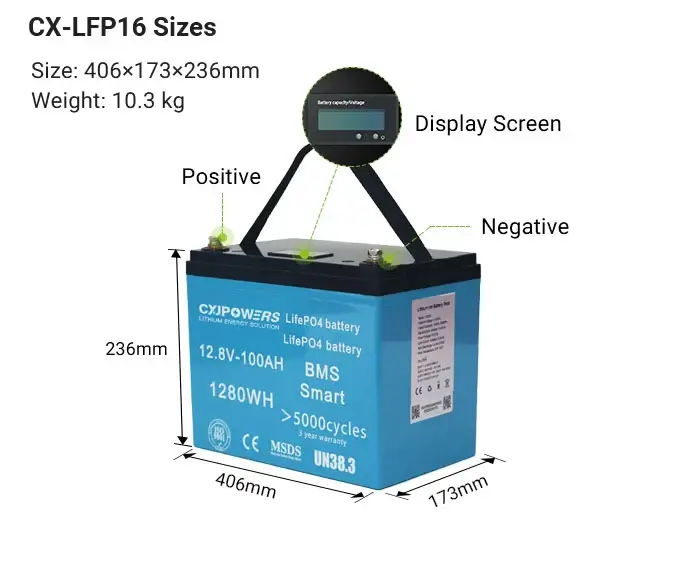 size of 12v 100ah lifepo4 battery cx-lfp16