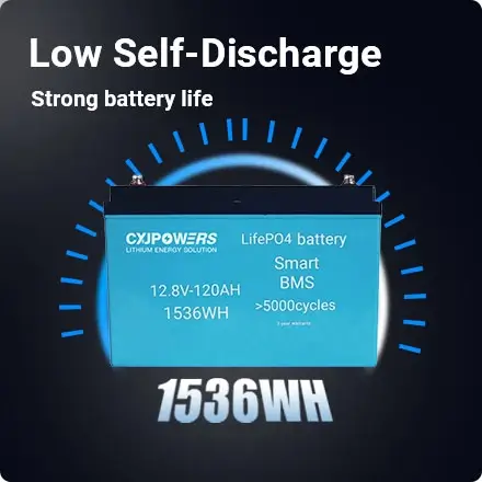 low self-discharge strong battery life