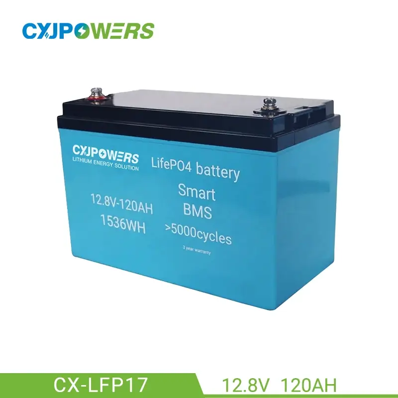 12V 120Ah LiFePo4 Battery Pack