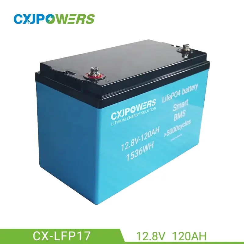 12V 120Ah LiFePo4 Battery Pack