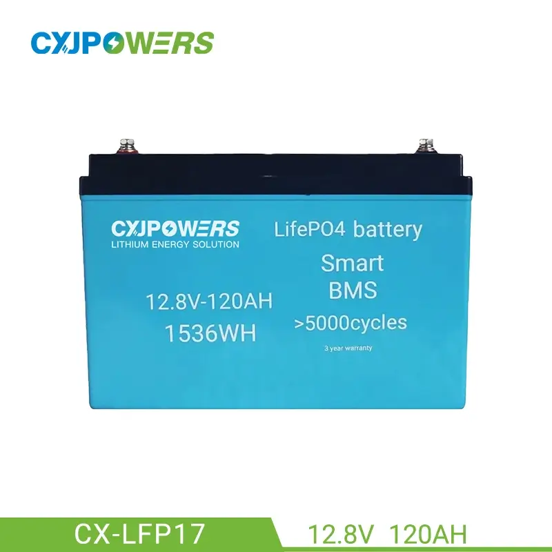 12V 120Ah LiFePo4 Battery Pack