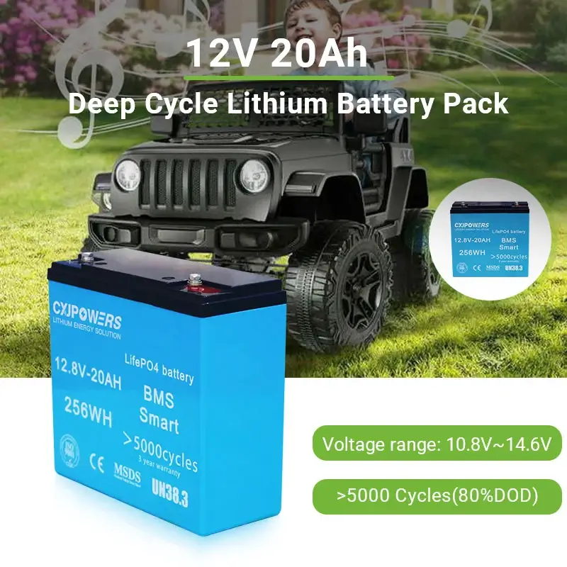 12V 20Ah LiFePo4 Battery 256Wh