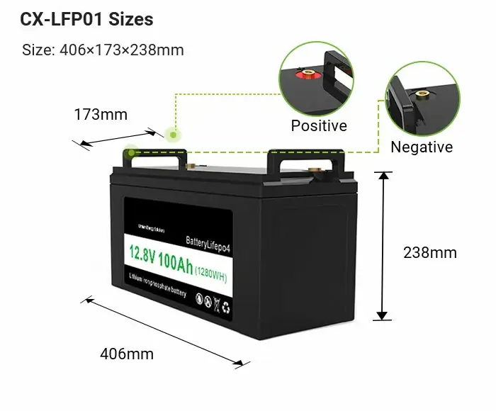 size of 12v 100ah lifepo4 battery cx-lfp01